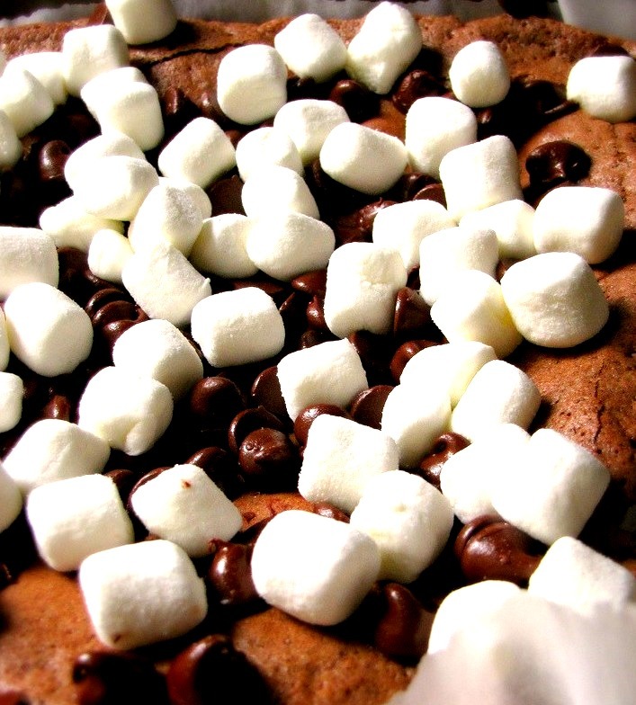 Marshmallow Chocolate Chip Brownies